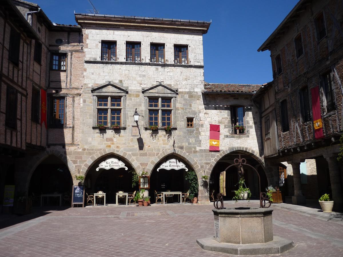 Hotel Des Consuls Castelnau-de-Montmiral Екстериор снимка